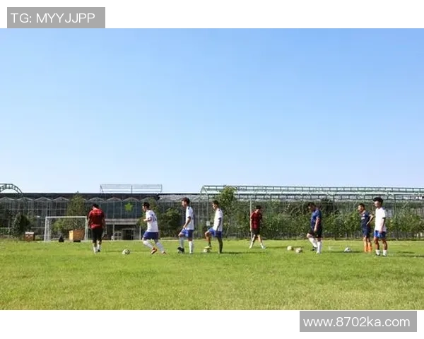 段举足球的魅力与挑战探索足球运动中的团队精神与个人成长